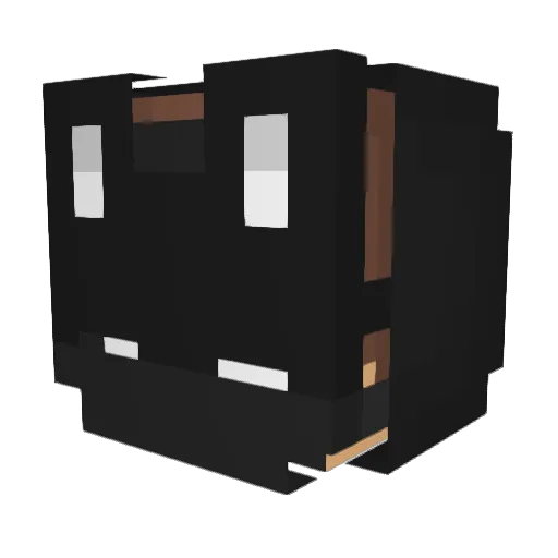 Panda_branco Minecraft avatar head, 3D render