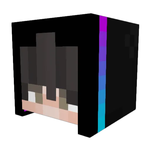 Panda_cocasse Minecraft avatar head, 3D render