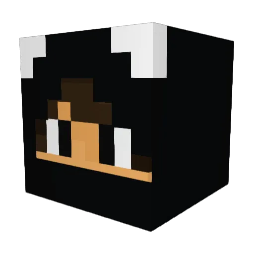 Panda_destructor Minecraft avatar head, 3D render