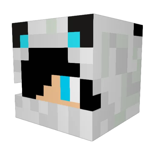 Panda_gamer_HD Minecraft avatar head, 3D render