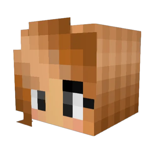 Panda_in_Narnia Minecraft avatar head, 3D render