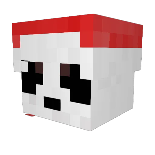 Panda_man27 Minecraft avatar head, 3D render