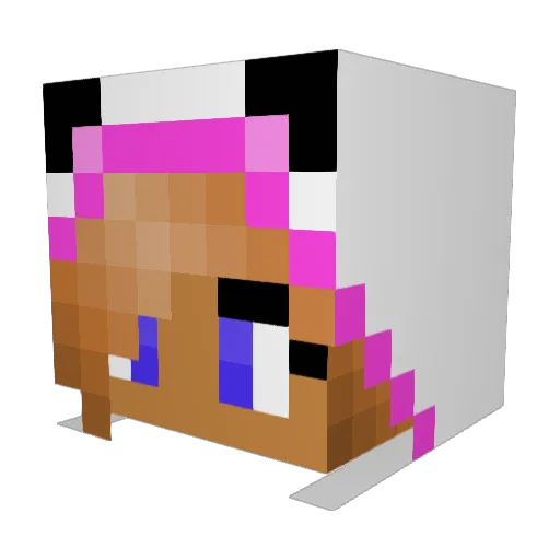 Pandaa0713 Minecraft avatar head, 3D render
