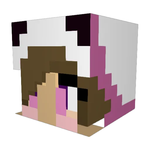 Pandaa09 Minecraft avatar head, 3D render