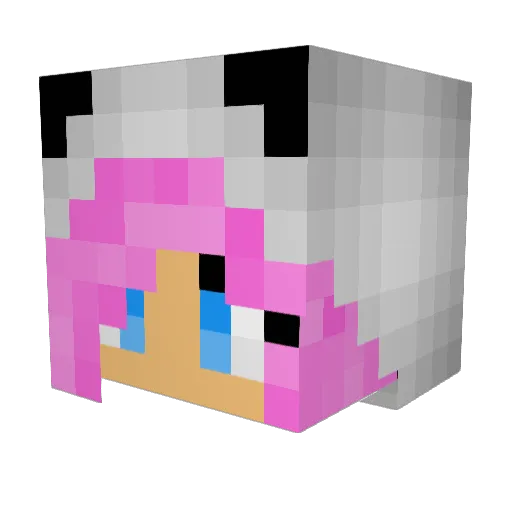 PandaaaBear Minecraft avatar head, 3D render