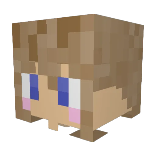 Pandabaerchen13 Minecraft avatar head, 3D render