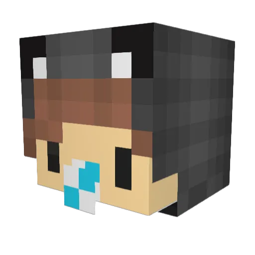 Pandaber Minecraft avatar head, 3D render