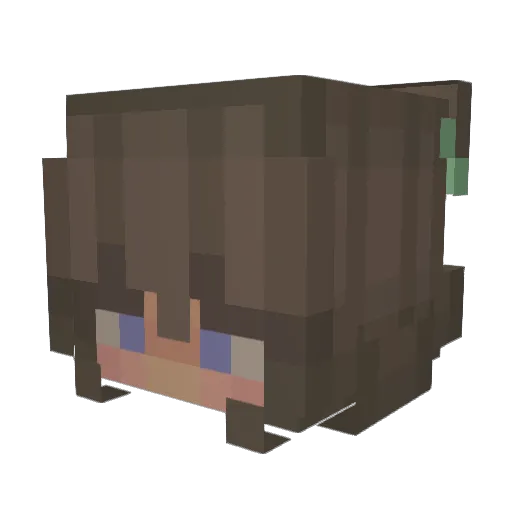 Pandafis2 Minecraft avatar head, 3D render