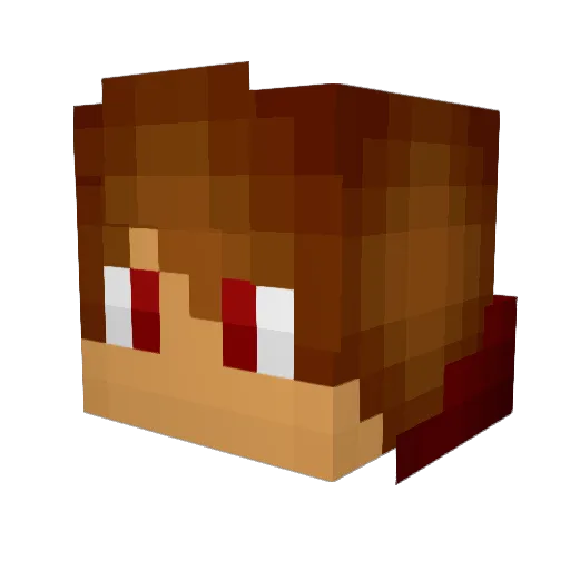 Pandafps_ Minecraft avatar head, 3D render