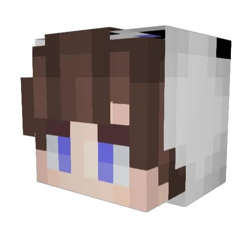 Pandagamesbr Minecraft avatar head, 3D render