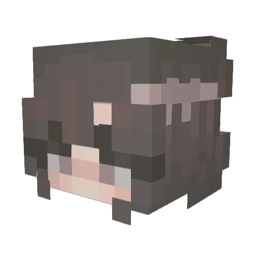 PandaisFluffy Minecraft avatar head, 3D render