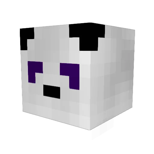 Pandaismyname1 Minecraft avatar head, 3D render