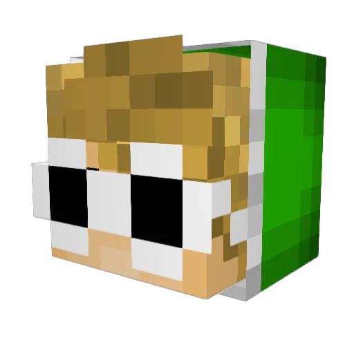 Pandaloganx Minecraft avatar head, 3D render