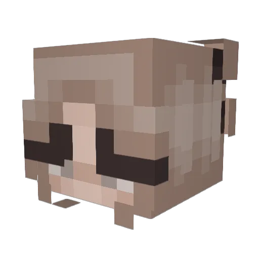 Pandamao Minecraft avatar head, 3D render