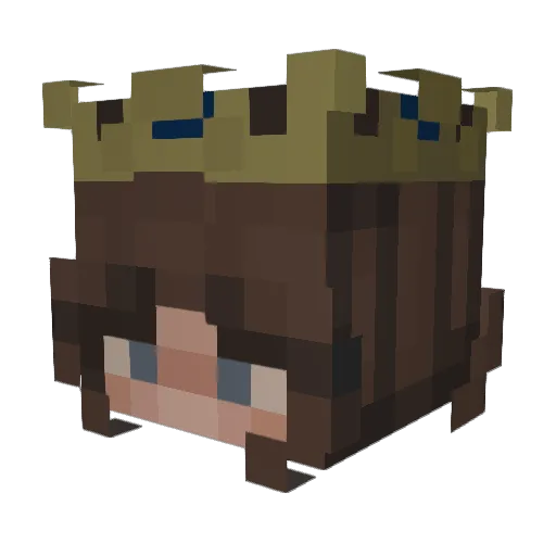 Pandamonium8911 Minecraft avatar head, 3D render