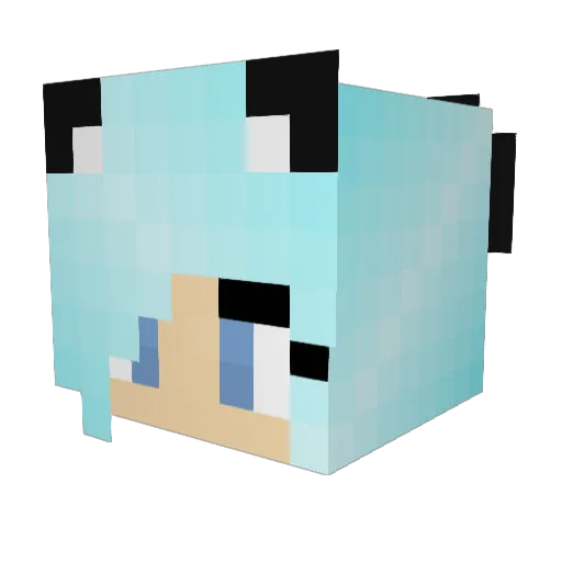 Pandamonium96 Minecraft avatar head, 3D render