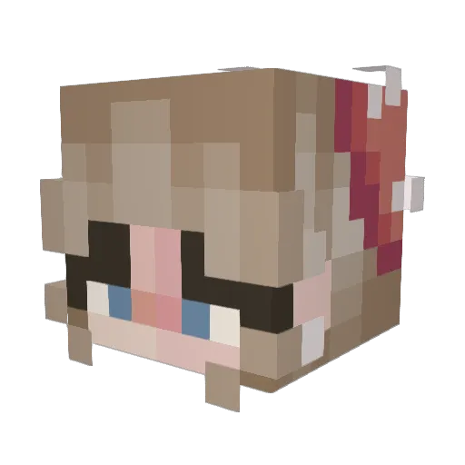 Pandamonster101 Minecraft avatar head, 3D render