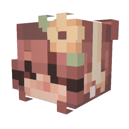 Pandane1 Minecraft avatar head, 3D render
