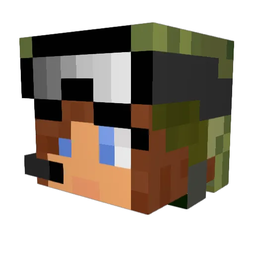 Pandapower80 Minecraft avatar head, 3D render