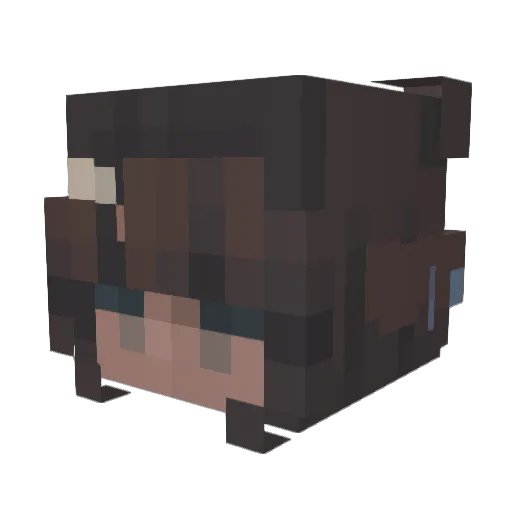 Pandas00 Minecraft avatar head, 3D render