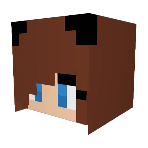 PandasAllTheWay Minecraft avatar head, 3D render