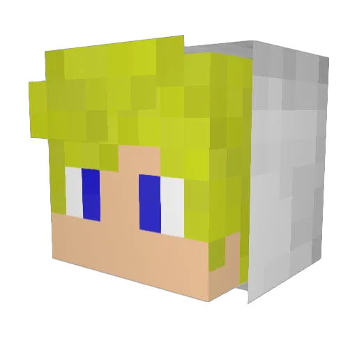 Pandat005 Minecraft avatar head, 3D render