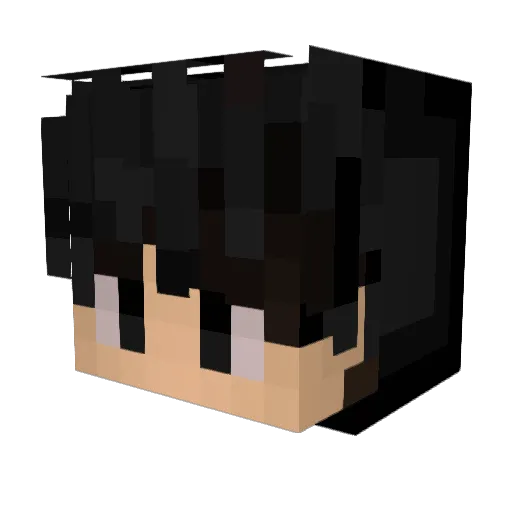 Pandatroller Minecraft avatar head, 3D render