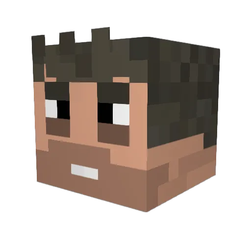 Pandawan07 Minecraft avatar head, 3D render