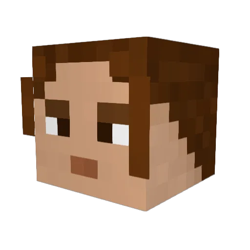 Pandawan_ Minecraft avatar head, 3D render