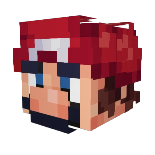 Pandax_251 Minecraft avatar head, 3D render
