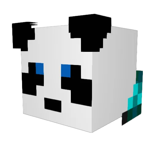 Pandazerk Minecraft avatar head, 3D render