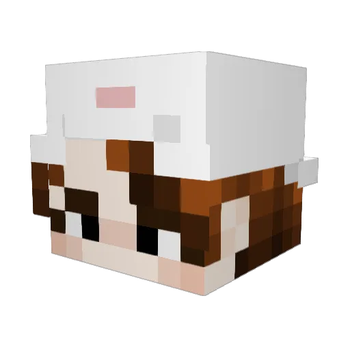 Pandazz1213 Minecraft avatar head, 3D render