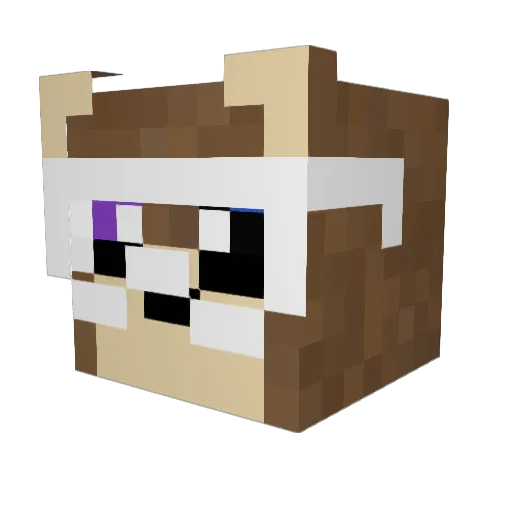 Pandering29 Minecraft avatar head, 3D render