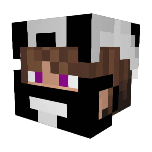 Pandersun Minecraft avatar head, 3D render
