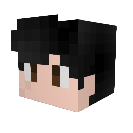 Pando9 Minecraft avatar head, 3D render