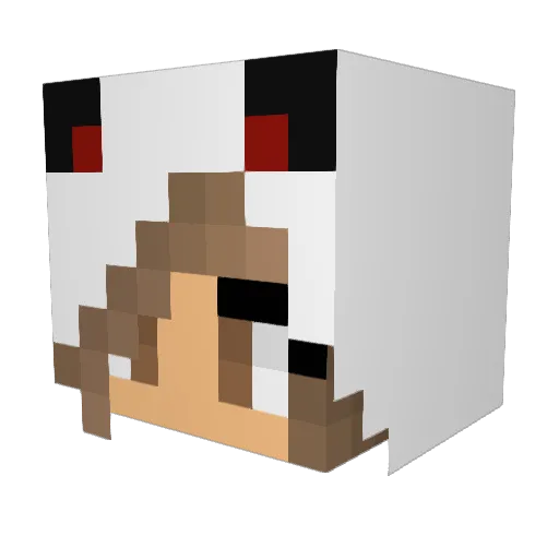 PandoLoczek Minecraft avatar head, 3D render