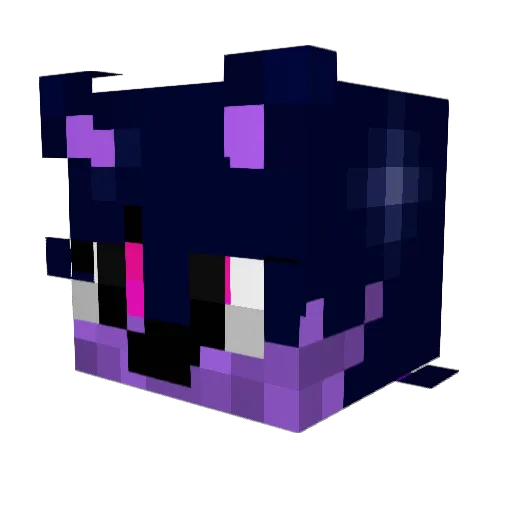 Pandor1 Minecraft avatar head, 3D render