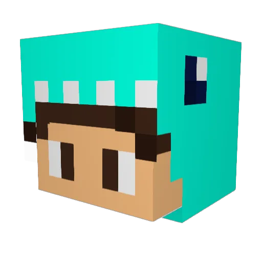 Pandor79 Minecraft avatar head, 3D render