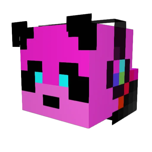 Pandora999999 Minecraft avatar head, 3D render