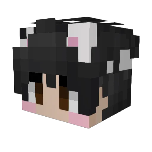 Pandore22 Minecraft avatar head, 3D render