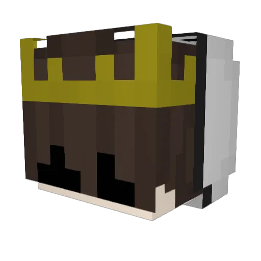 Pandoro____ Minecraft avatar head, 3D render