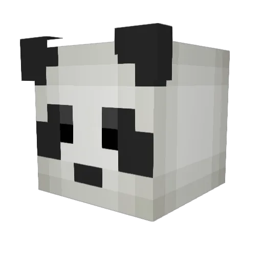 Pandorum58 Minecraft avatar head, 3D render
