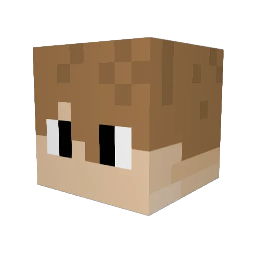 Pandozo11 Minecraft avatar head, 3D render