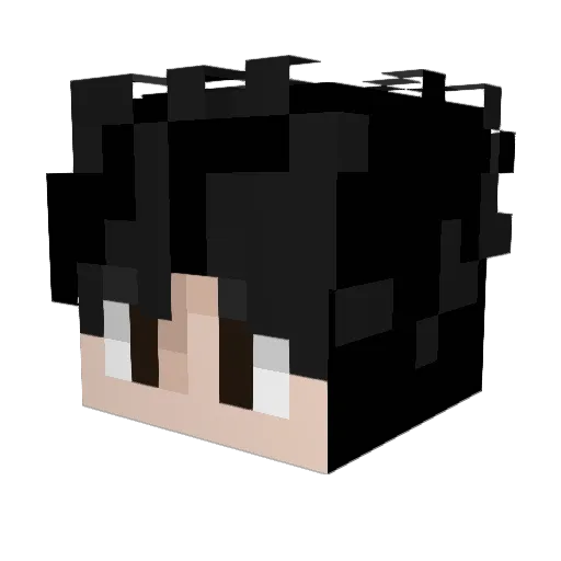 Pandugh Minecraft avatar head, 3D render