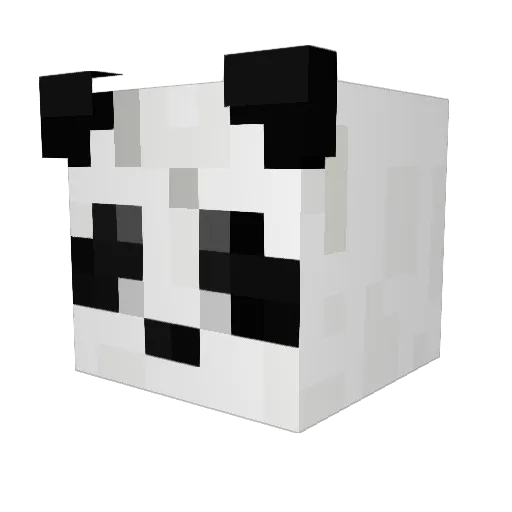 Pandy4579 Minecraft avatar head, 3D render