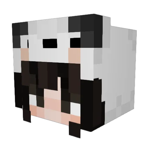 Pandy_the_Panda Minecraft avatar head, 3D render