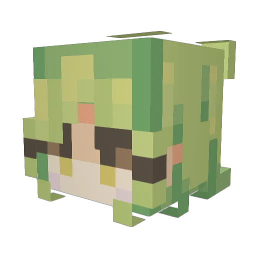Panelada31 Minecraft avatar head, 3D render