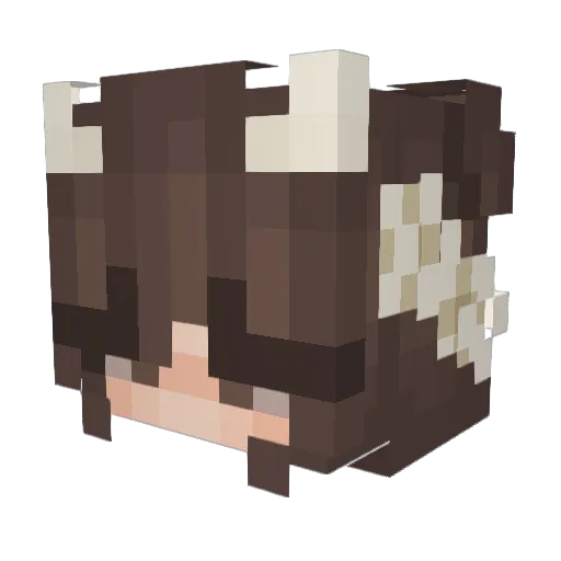 Pangeiei Minecraft avatar head, 3D render