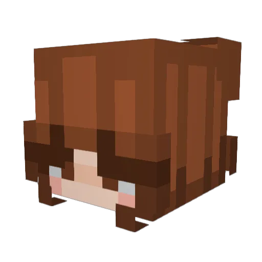 Pangel_5 Minecraft avatar head, 3D render