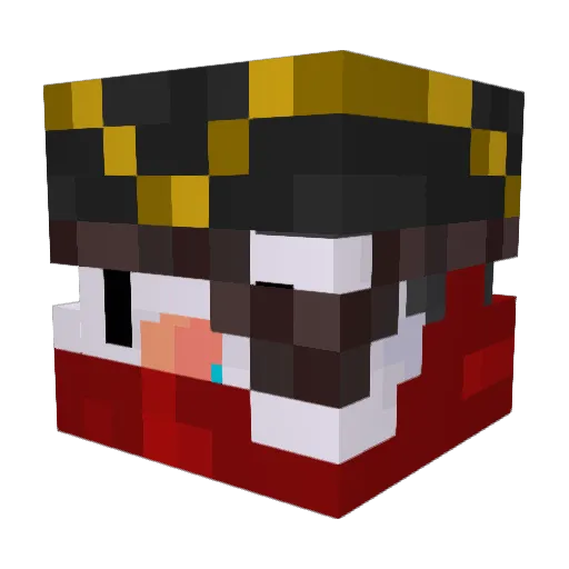 Pangguino Minecraft avatar head, 3D render
